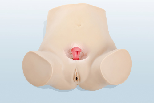妇科上环、取环训练模型